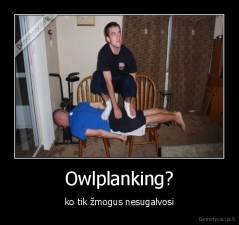 Owlplanking? - ko tik žmogus nesugalvosi