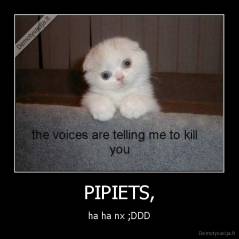 PIPIETS, - ha ha nx ;DDD