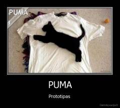 PUMA - Prototipas 