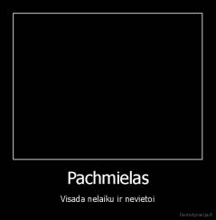 Pachmielas - Visada nelaiku ir nevietoi