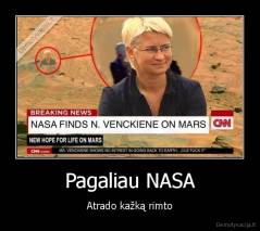 Pagaliau NASA - Atrado kažką rimto