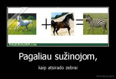 Pagaliau sužinojom, - kaip atsirado zebrai