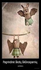 Pagrindinė škotų šikšnosparnių  - problema