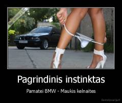 Pagrindinis instinktas - Pamatei BMW - Maukis kelnaites