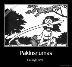 Paklusnumas - Gaudyk, kale!