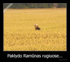 Paklydo Ramūnas rugiuose... - 