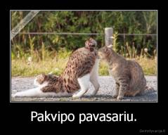 Pakvipo pavasariu. - 