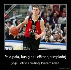 Pala pala, kas gins LeBroną olimpiadoj - jeigu Lietuvos rinktinėj Jomanto nėra?