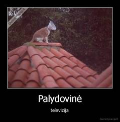 Palydovinė - televizija