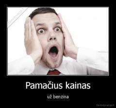 Pamačius kainas - už benzina