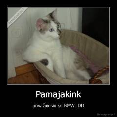 Pamajakink - privažiuosiu su BMW :DD