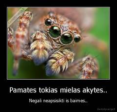 Pamates tokias mielas akytes.. - Negali neapsisikti is baimes..