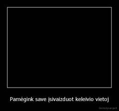 Pamėgink save įsivaizduot keleivio vietoj - 