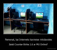 Pamenat, kai Interneto kavinėse rinkdavotės - žaisti Counter-Strike 1.6 ar MU Online?