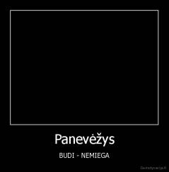 Panevėžys - BUDI - NEMIEGA