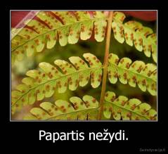 Papartis nežydi. - 