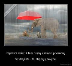 Paprasta atimti kitam drąsą ir ieškoti priekabių, - bet drąsinti – tai stipriųjų savybė. 