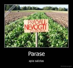 Parase - apie salotas