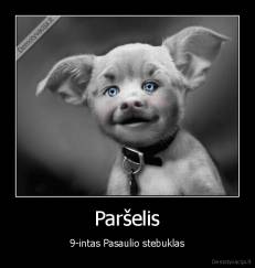 Paršelis - 9-intas Pasaulio stebuklas