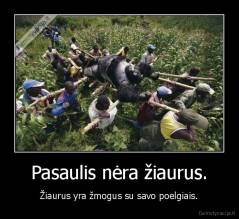 Pasaulis nėra žiaurus. - Žiaurus yra žmogus su savo poelgiais.