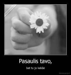 Pasaulis tavo, - bet tu jo kekšė