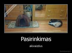 Pasirinkimas - akivaizdus