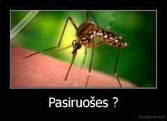 Pasiruošes ? - 