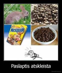 Paslaptis atskleista - 