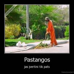 Pastangos - jas įvertini tik pats