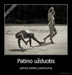 Patino užduotis - pelnyti patelių palankumą