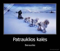 Patrauklios kalės - Benaudės