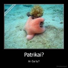 Patrikai? - Ar čia tu?