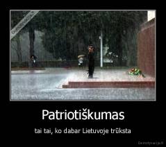 Patriotiškumas - tai tai, ko dabar Lietuvoje trūksta