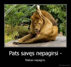 Pats savęs nepagirsi - - Niekas nepagirs.