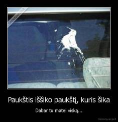 Paukštis iššiko paukštį, kuris šika - Dabar tu matei viską...