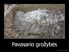 Pavasario grožybės - 