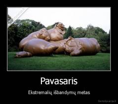 Pavasaris - Ekstremalių išbandymų metas