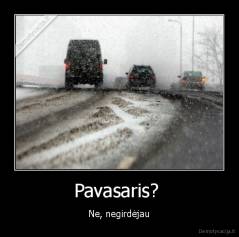 Pavasaris?  - Ne, negirdėjau