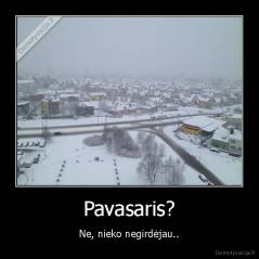 Pavasaris? - Ne, nieko negirdėjau..