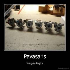 Pavasaris - Sraigės Grįžta