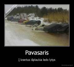 Pavasaris - Į krantus išplaukia ledo lytys