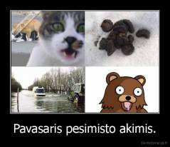 Pavasaris pesimisto akimis. - 