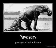 Pavasary - pamatysim kas kur kakojo