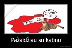 Pažaidžiau su katinu - 