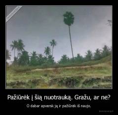 Pažiūrėk į šią nuotrauką. Gražu, ar ne? - O dabar apversk ją ir pažiūrėk iš naujo.