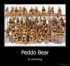 Peddo Bear - Is comming
