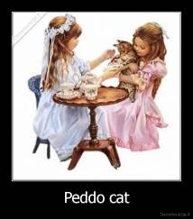 Peddo cat - 