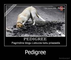 Pedigree - 