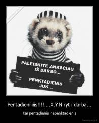 Pentadieniiiiis!!!!....X.Y.N ryt i darba... - Kai pentadienis nepenktadienis