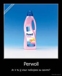 Perwoll - Ar ir tu jį visur nešiojiesi su savimi?